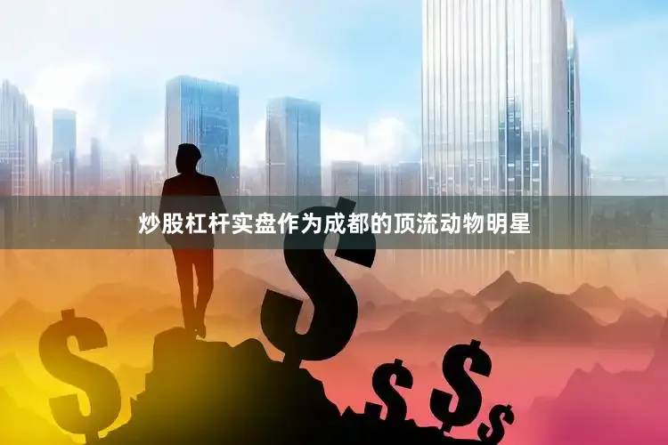 炒股杠杆实盘作为成都的顶流动物明星