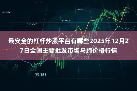 最安全的杠杆炒股平台有哪些2025年12月27日全国主要批发市场马蹄价格行情
