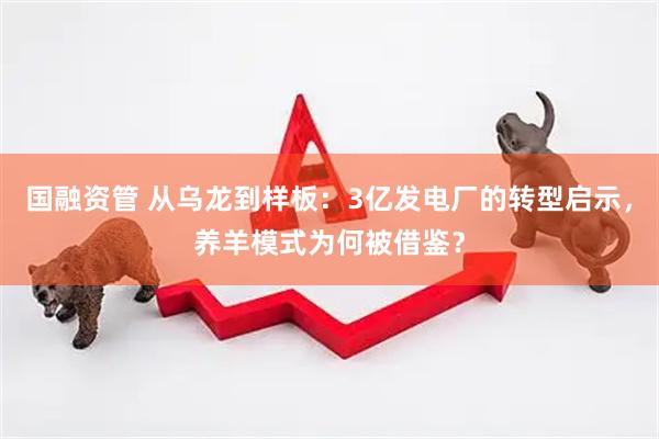 国融资管 从乌龙到样板：3亿发电厂的转型启示，养羊模式为何被借鉴？